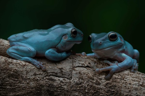Comment porter des bijoux en argent massif avec des vêtements de couleur sombre?